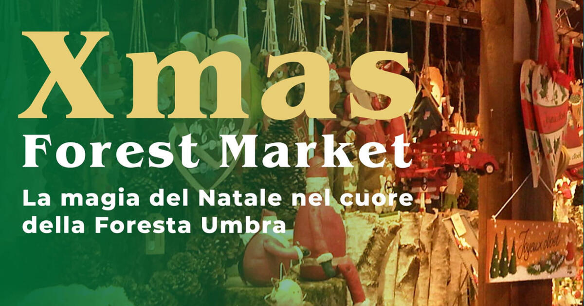 Xmas Forest Market, arriva il mercatino natalizio in Foresta Umbra con artigiani e produttori del territorio - 