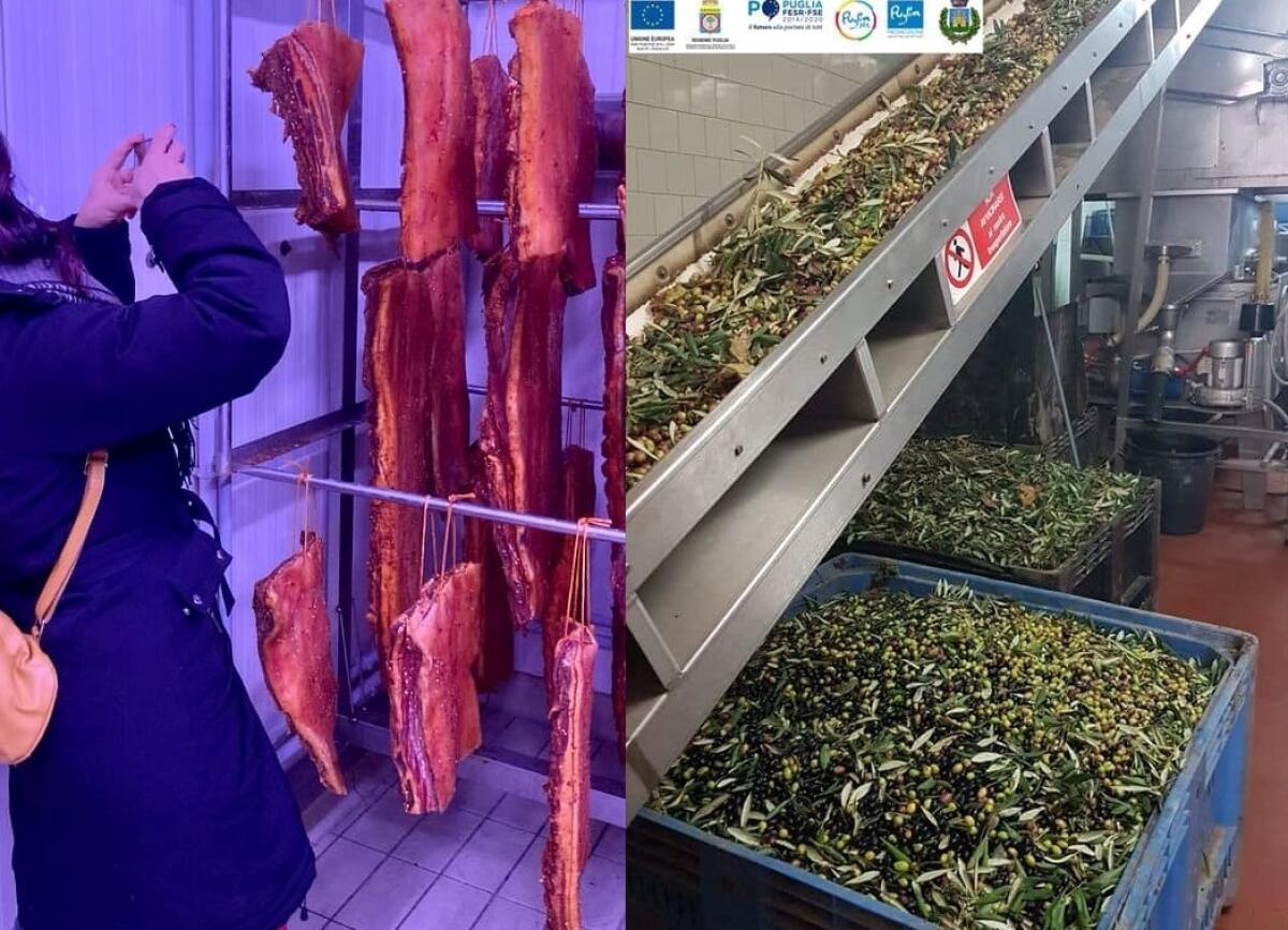 Torremaggiore promossa da blogger e giornalisti: "Realtà produttive fantastiche" - 