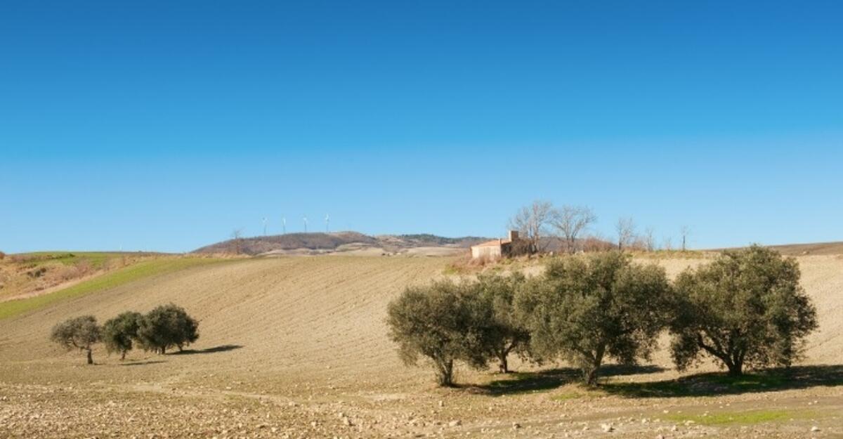 Un progetto per la valorizzazione dei tratturi della Capitanata per creare "un'economia di vicinanza sostenibile e solidale" - 