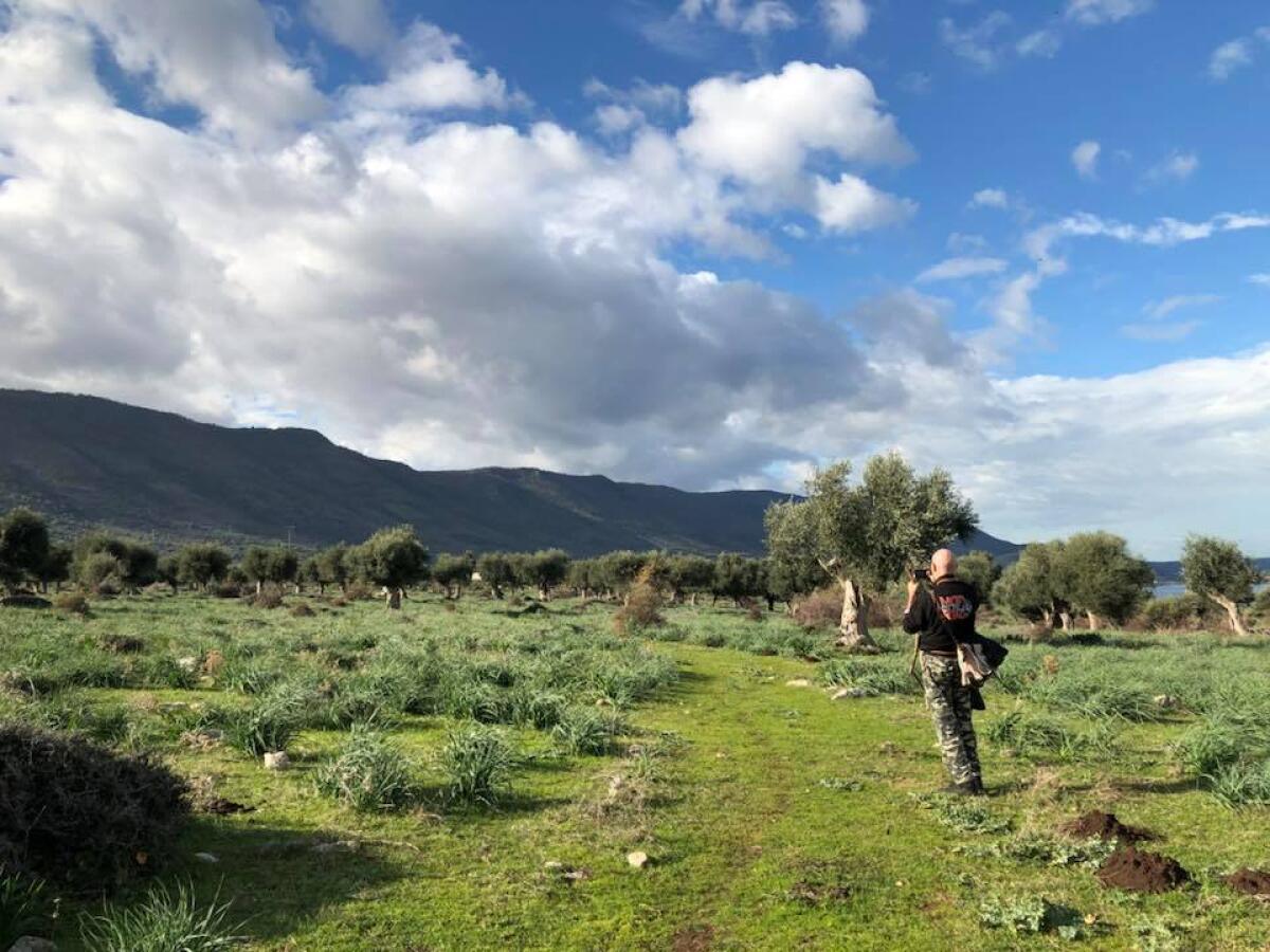 Prosegue la valorizzazione delle aree naturali:al via i lavori delle aree naturali della Collina Pastromele in agro di Carpino - 