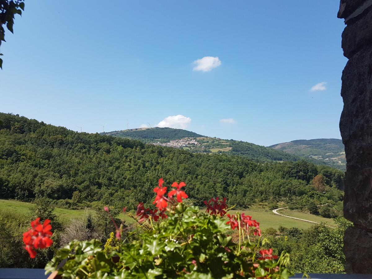 Celle San Vito diventa “Comune Fiorito”, Il paese più piccolo della Puglia nella rete europea che promuove la bellezza dei borghi - 