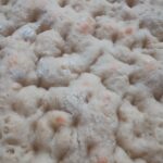 Focaccia con mortadella, stracciatella e pomodori semidry gialli “Bioricci”