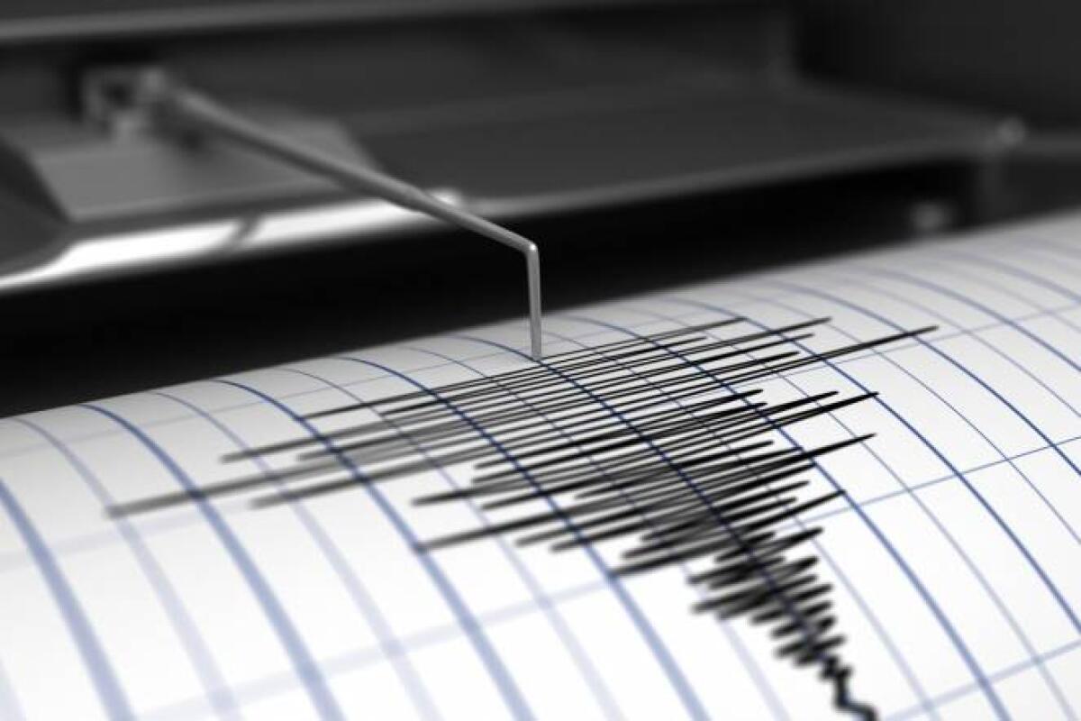 Due scosse di terremoto nella notte in provincia di Foggia - 