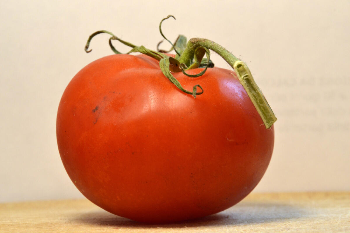 Pomodoro, Cia Capitanata: “Bene la Dop, ora intesa sul prezzo” - 