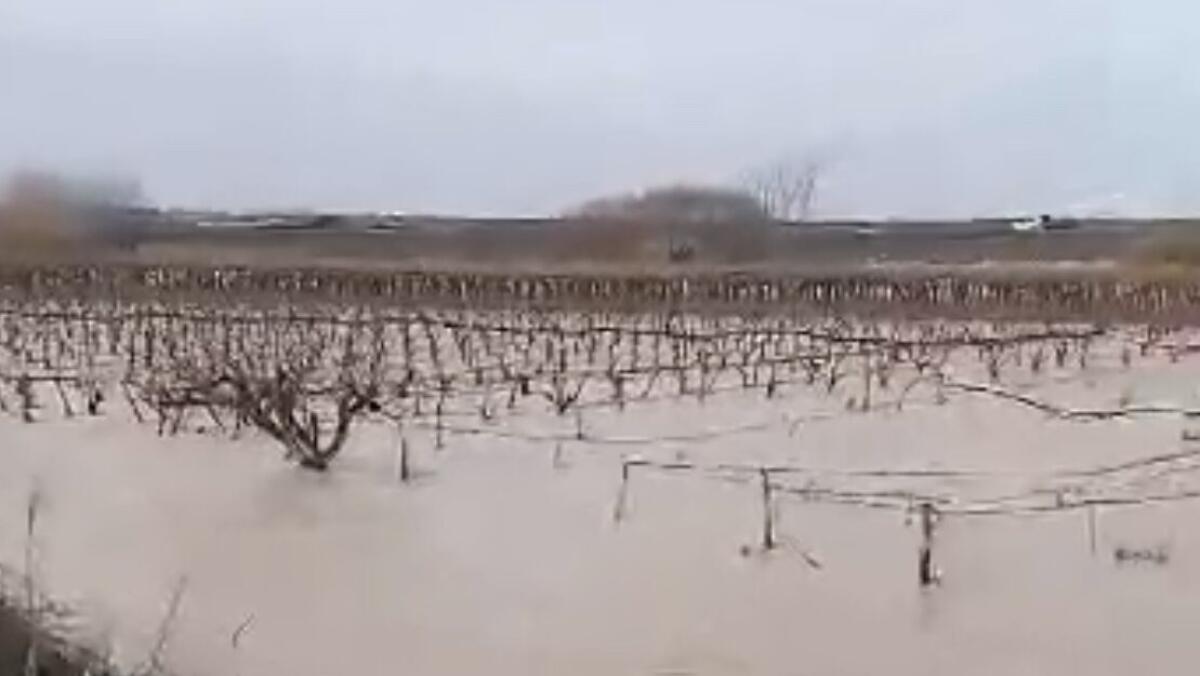Maltempo, straripato il fiume Ofanto tra Canosa e Cerignola - 