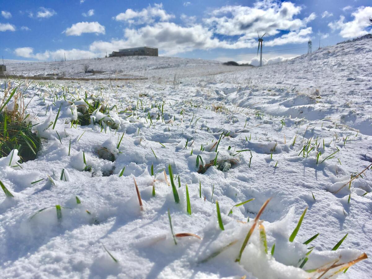 Neve in arrivo nel weekend, ecco dove - 