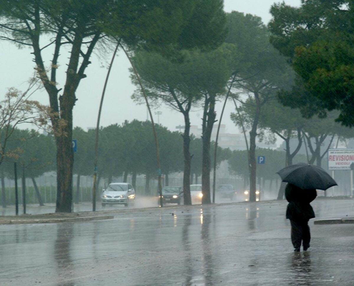 Allerta meteo per vento nella giornata di domani - 