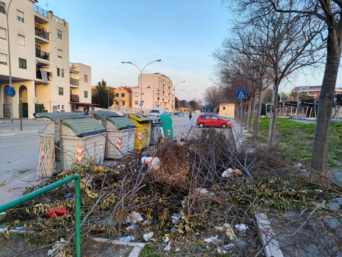 “Grandi perplessità sulla gestione del verde pubblico di Foggia” - 
