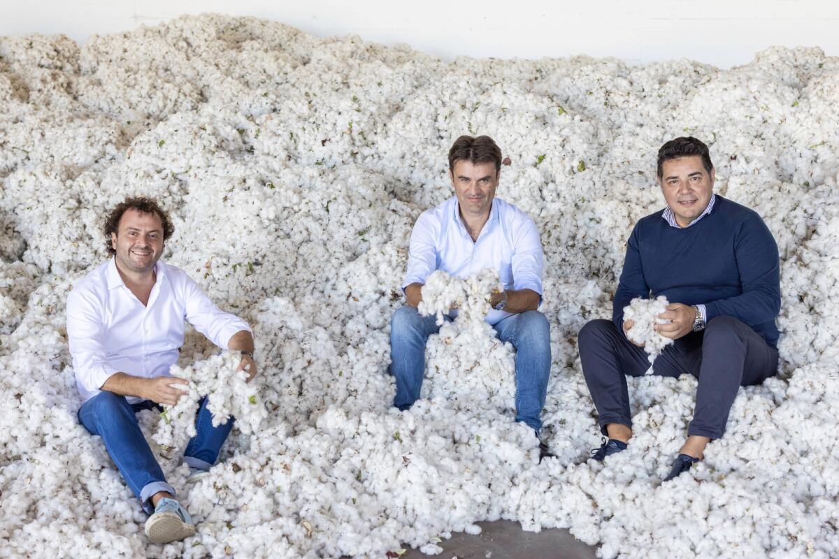 Si trova sul Gargano la prima filiera di cotone biologico italiano: la Capitanata come il Texas - 