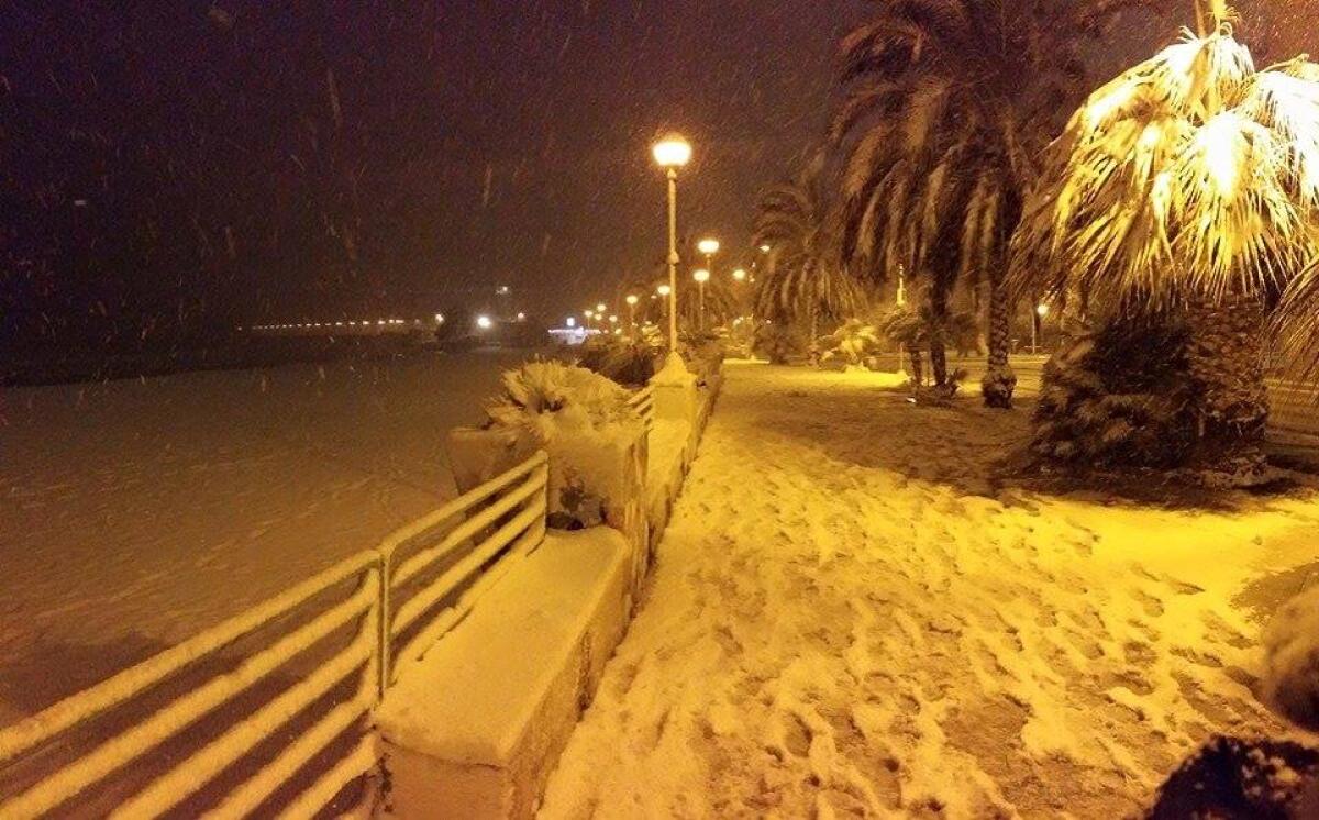 Confermata una nuova ondata gelida: neve in pianura e sulle coste - 
