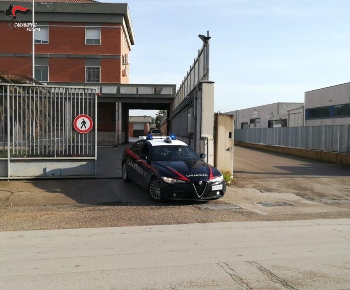 Numerosi arresti nel primo mese dell'anno da parte Carabinieri in Capitanata - 