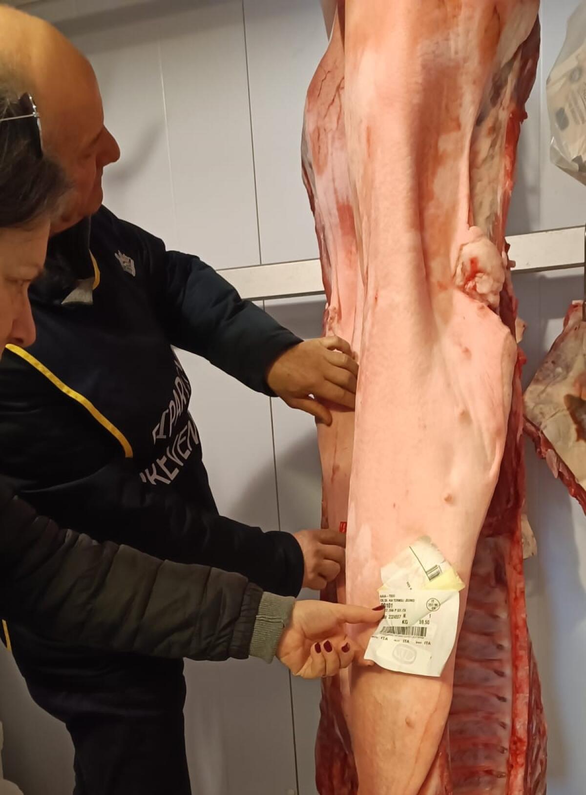 Trichinosi: tre casi in provincia di Foggia - 