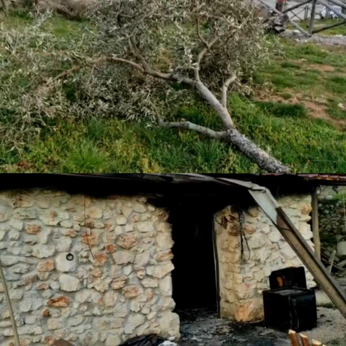 Emergenza Gargano: Non basta condannare è necessario che tutti facciano la loro parte - 