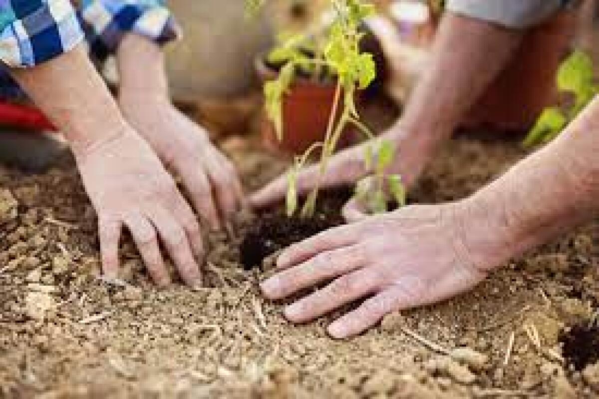 Troia, roadshow sulle fattorie sociali - 