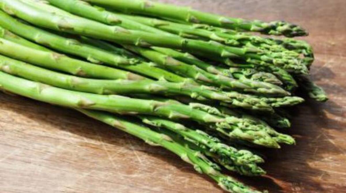 Maltempo, produzione asparagi crolla del 40% in Capitanata - 