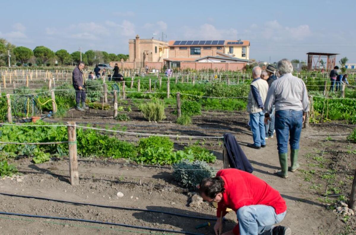 La Fondazione Siniscalco Ceci-Emmaus prima fattoria sociale di Puglia - 