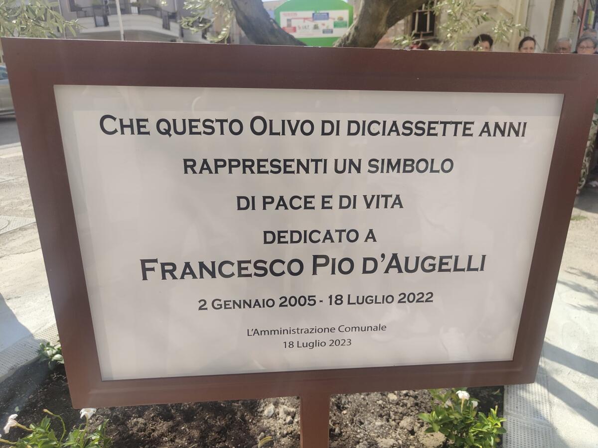 San Severo, un olivo per ricordare Francesco Pio - 