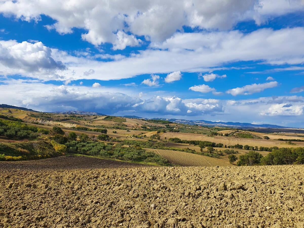 Wwf, sui monti Dauni distrutti dieci ettari di habitat protetto - 
