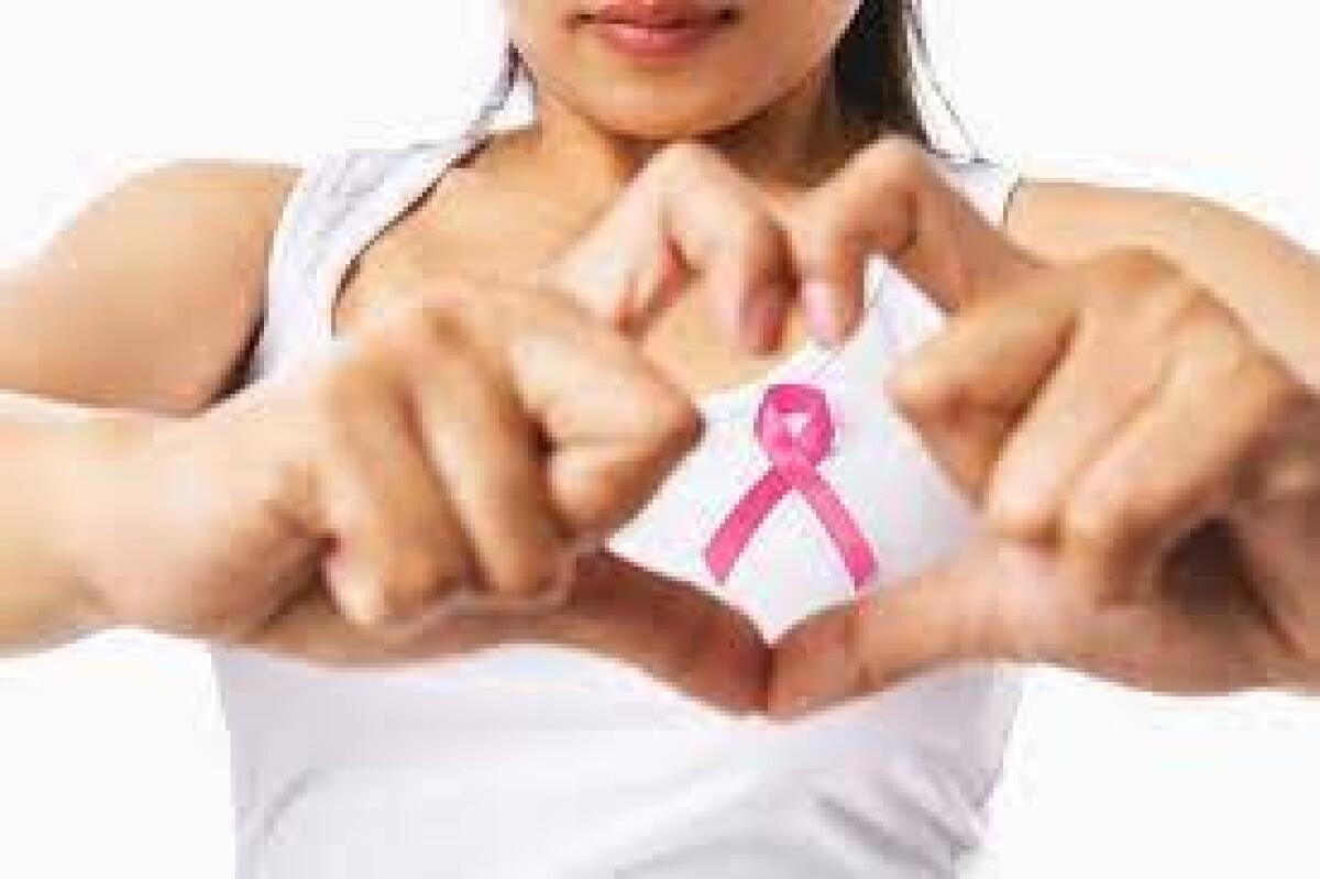 San Severo, donne in passerella contro il cancro - 