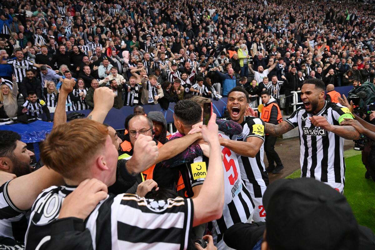 I risultati del mercoledì di Champions - NEWCASTLE UPON TYNE, ENGLAND - OCTOBER 04: Fabian Schaer of Newcastle United celebrates with teammates after scoring the team's fourth goal during the UEFA Champions League match between Newcastle United FC and Paris Saint-Germain at St. James Park o