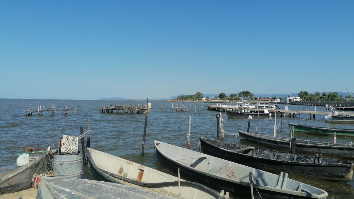Casanova: fondi per laguna Lesina trasferiti con 11 anni di ritardo - 