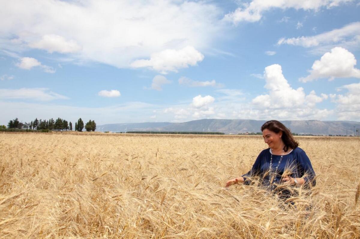Gal Daunia Rurale 2020, in arrivo 5 milioni e mezzo di euro per l’Alto Tavoliere - 
