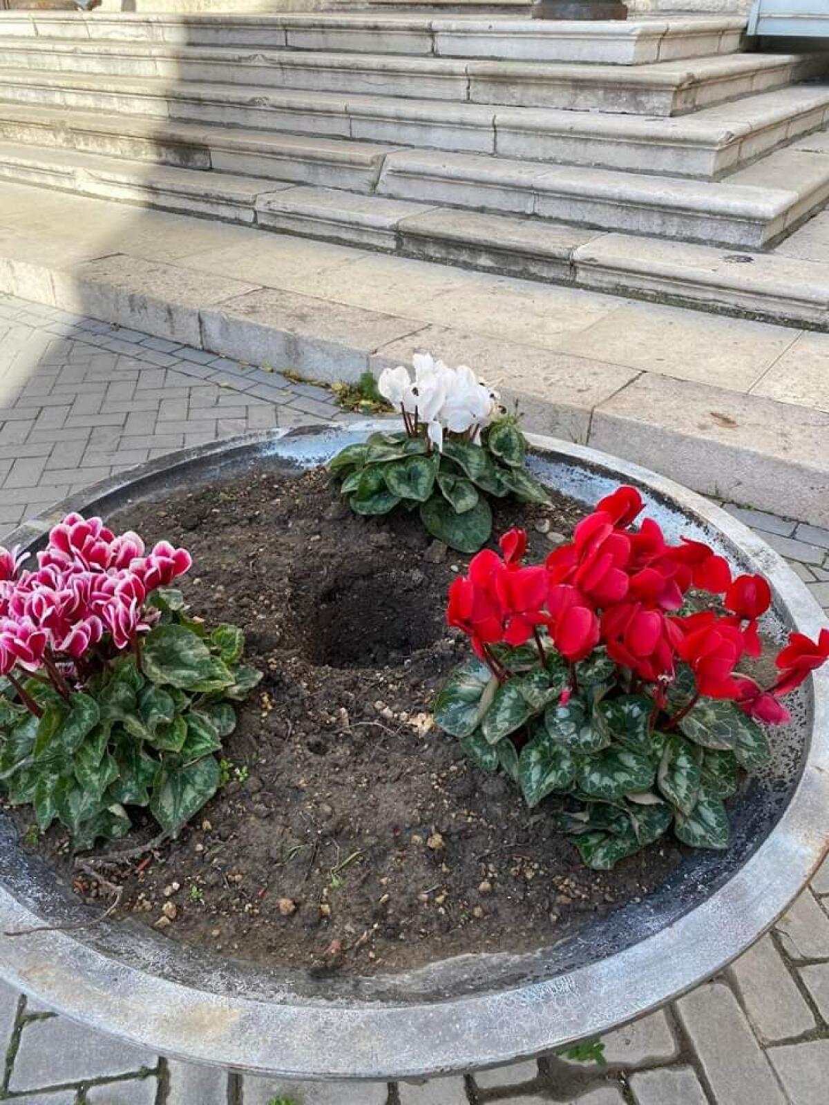 Foggia non cambia: vandali in azione - 