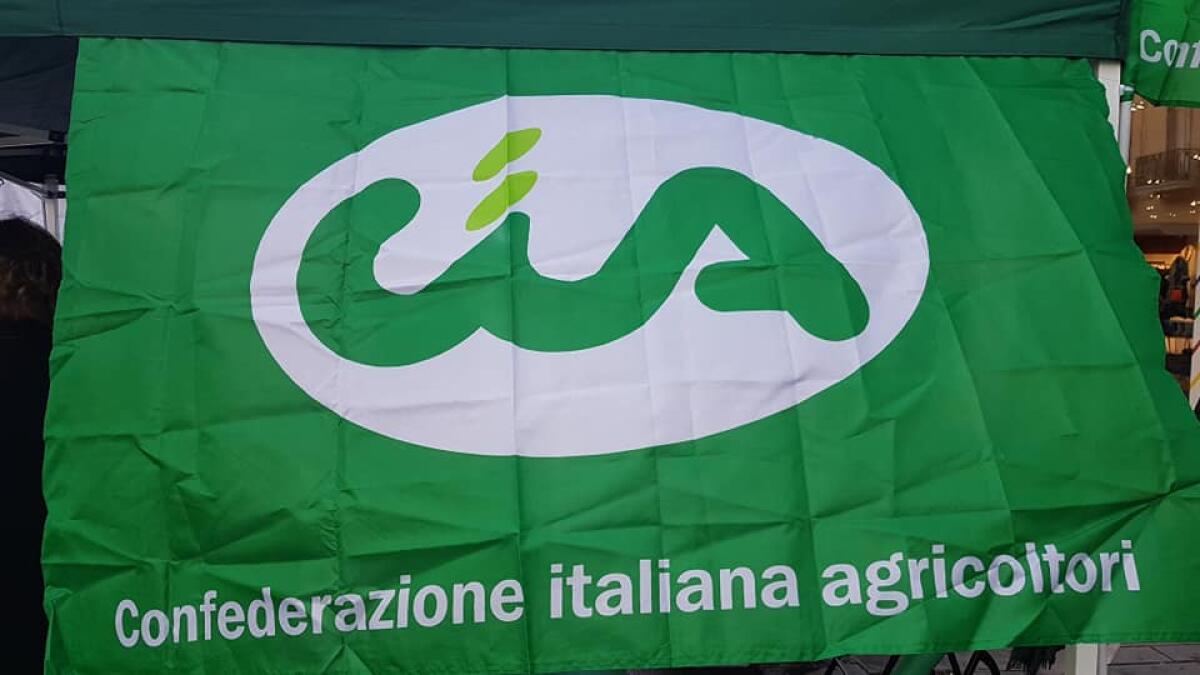 Diritti al Centro: per tre giorni al GrandApulia il mondo Cia e Cittadinanzattiva - 