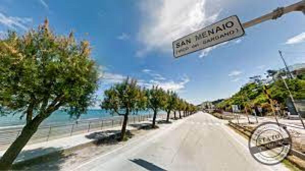 San Menaio, i bimbi ‘battezzano’ i nuovi alberi - 