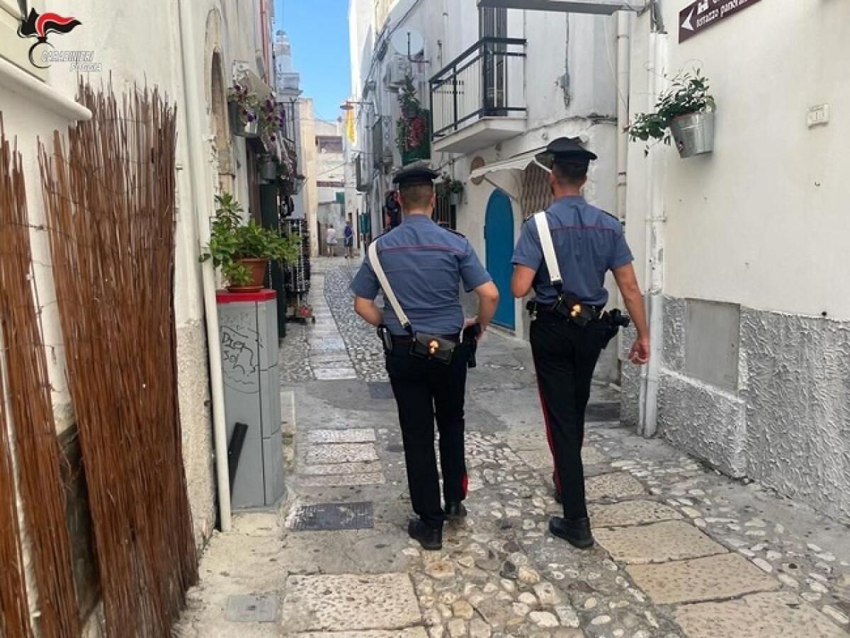 A San Nicandro, 5 persone arrestate per violenza in famiglia - 