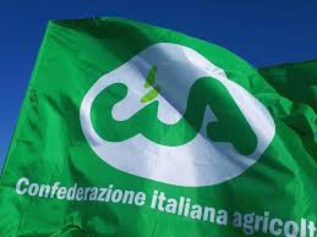 “Diritti al Centro”, iniziativa patronato CIA e Cittadinanzattiva - 