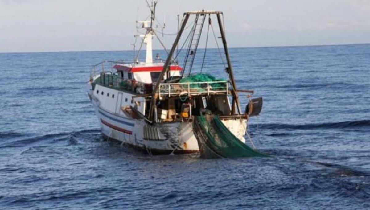Pesca, nella legge di bilancio interventi per aziende del mare in crisi - 