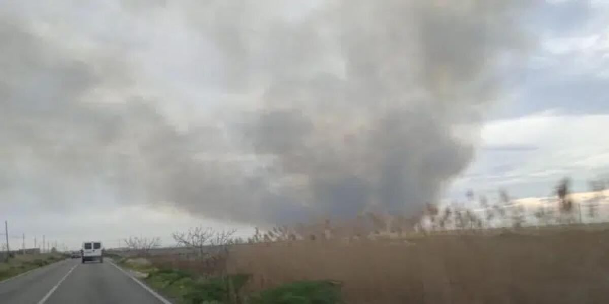 Spaventoso incendio nell'oasi di Lago Salso - 