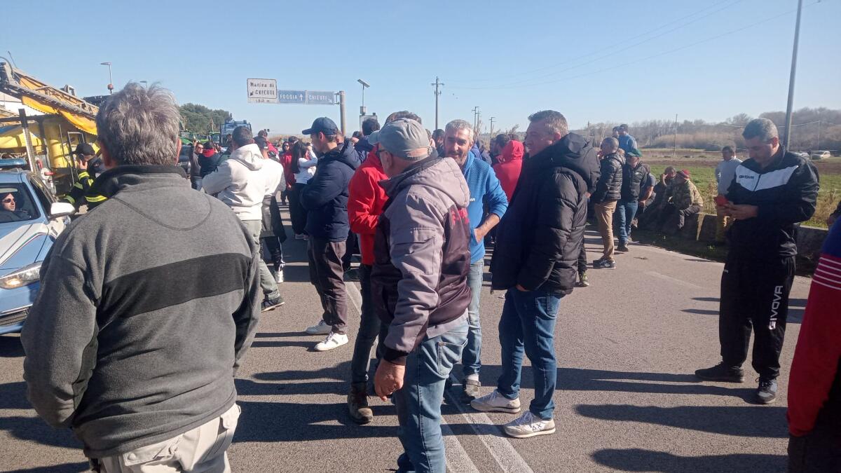 Ancora una giornata di protesta degli agricoltori di Capitanata - 