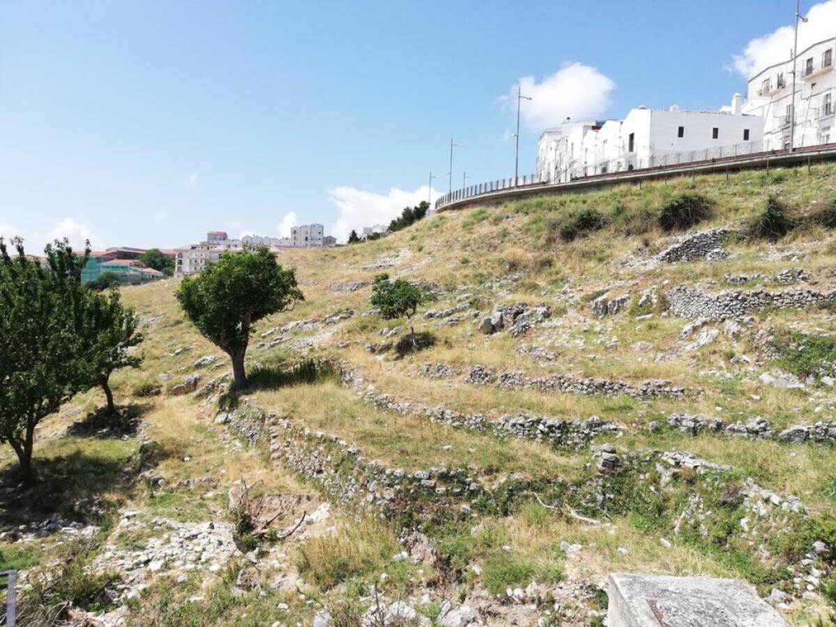 Parco del Gargano, un milione per salvare i muretti a secco - 