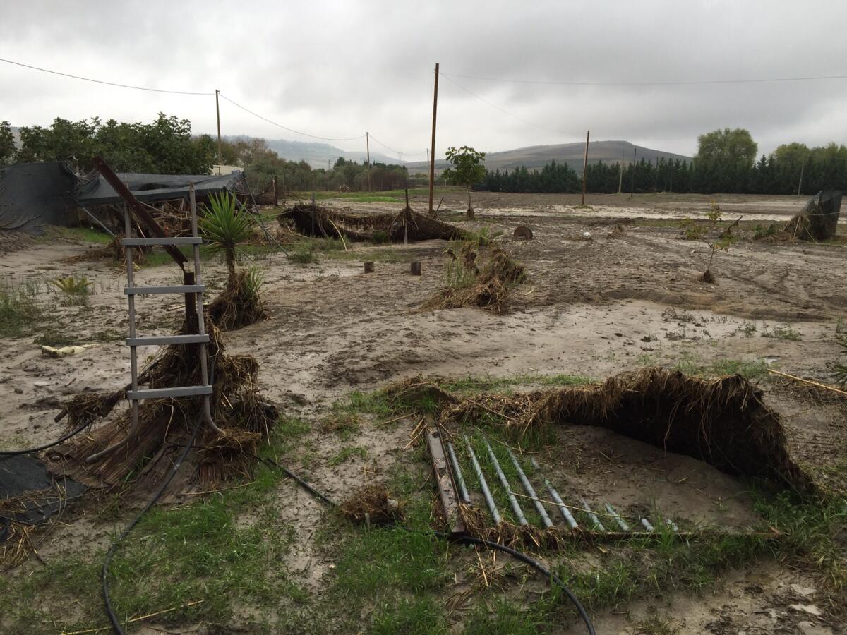 Maltempo, straripato il Celone a Castelluccio Valmaggiore - Un'immagine dell'alluvione del 2015