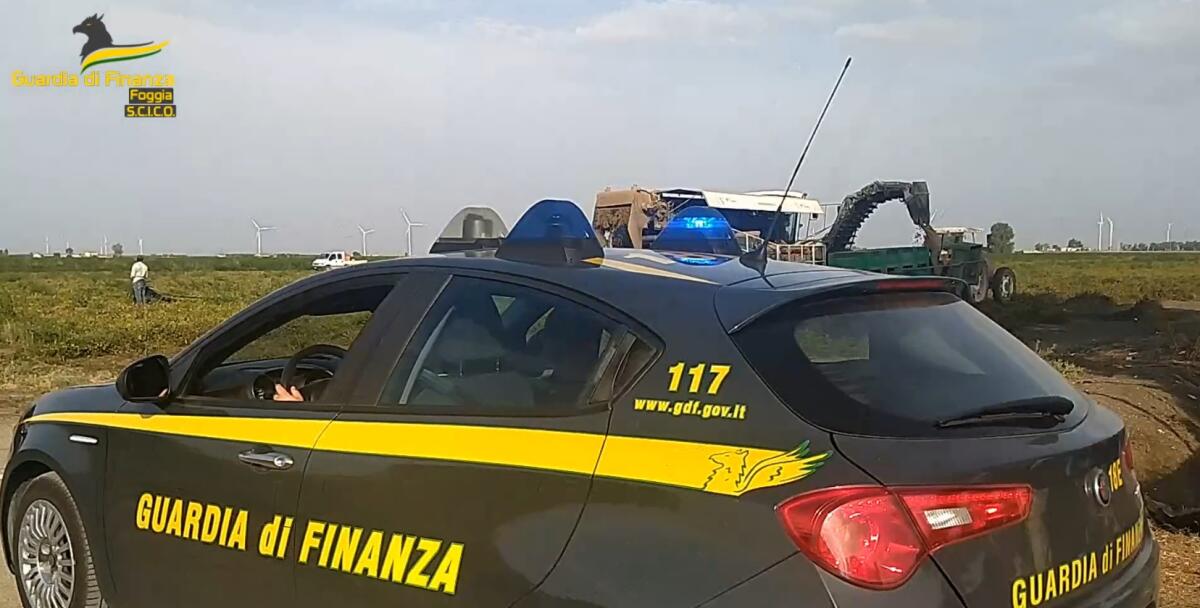 Ottengono reddito cittadinanza dichiarando il falso, 25 denunce sul Gargano - 