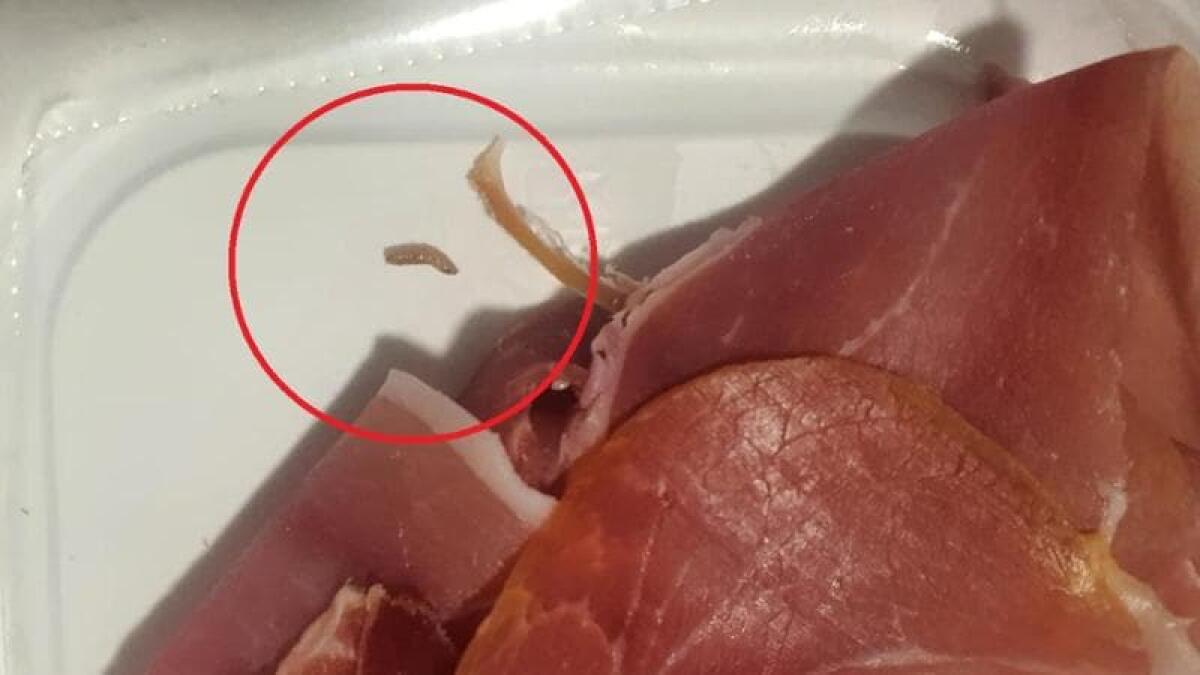 Larve di mosca nei piatti, il Policlinico sanziona azienda ristorazione - 