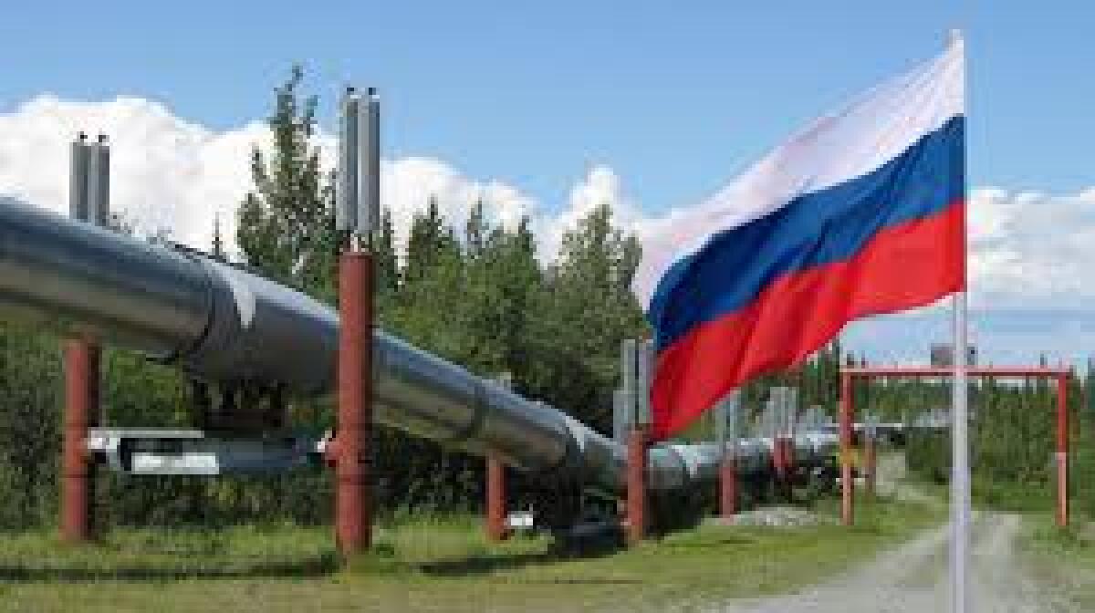 Approvvigionamento di gas dalla Russia: netta diminuzione entro la fine dell'anno - 