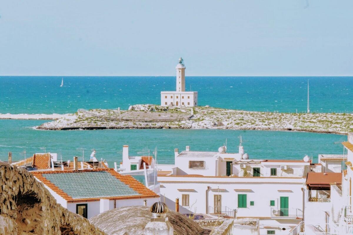 Il Gargano necessita di una rete di trasporto pubblico al passo con i tempi! - 