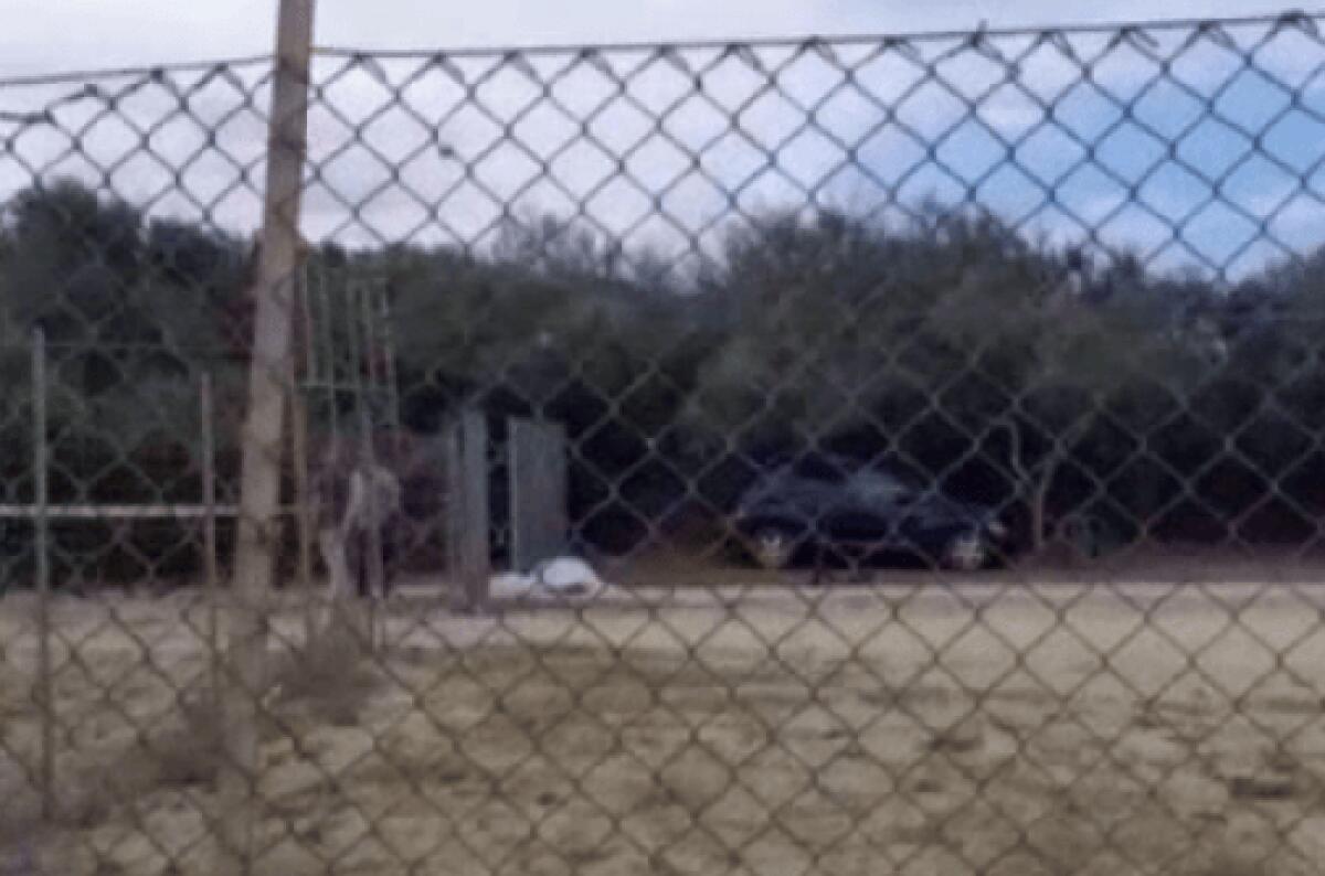 San Severo, omicidio Cologno: arrestato autista killer - 