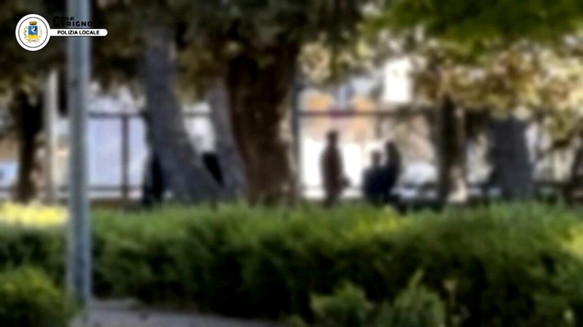 Cerignola, arrestato pusher che spacciava nella Villa comunale - 