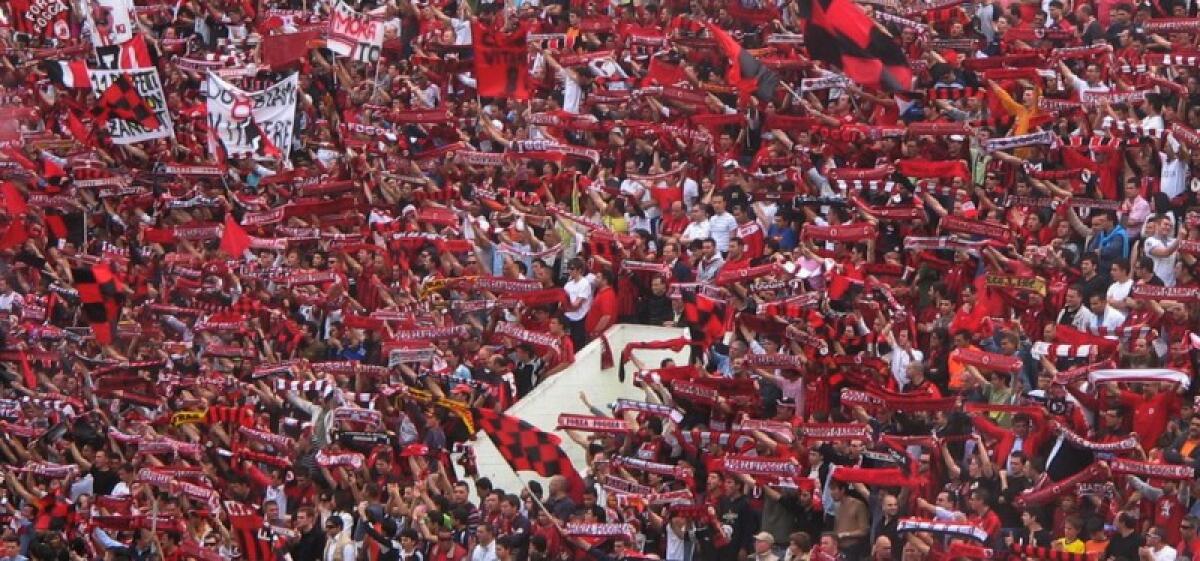 Calcio Foggia: fallita trattativa con De Finis e Salandra - Crediti Foto: foggiacalcio1920.it