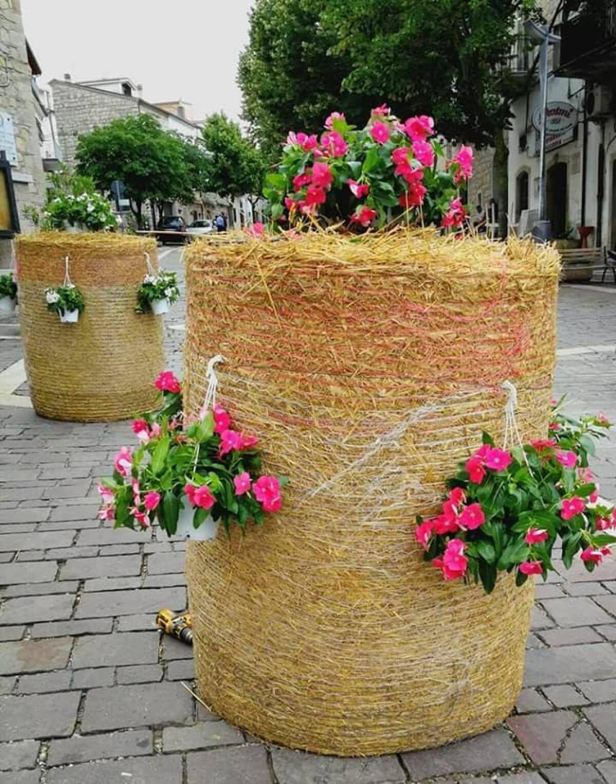 Orsara in fiore, il borgo si veste di primavera - 