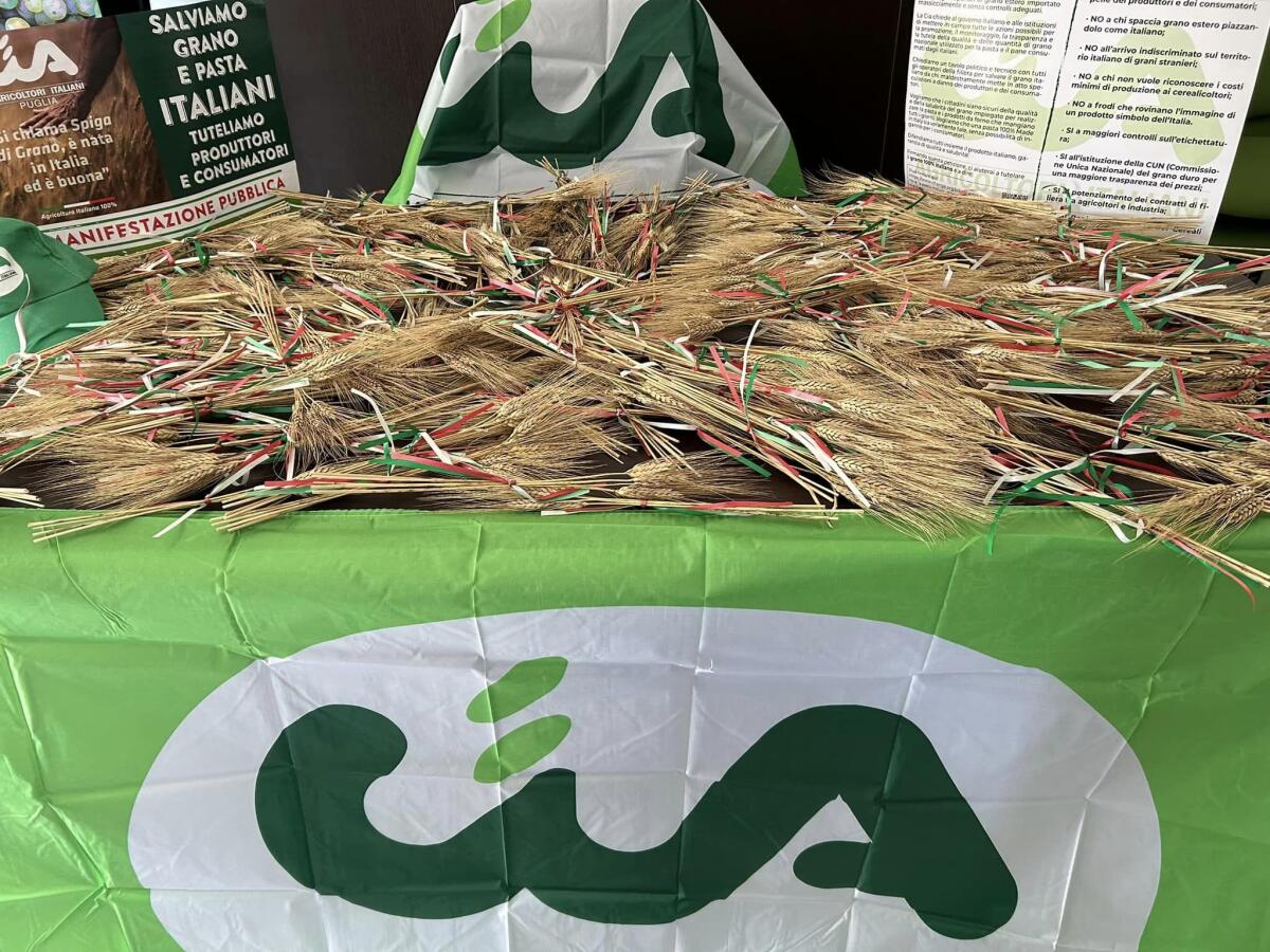 Cia Puglia “Buon lavoro a elette ed eletti, ora fatti concreti per l’agricoltura” - 