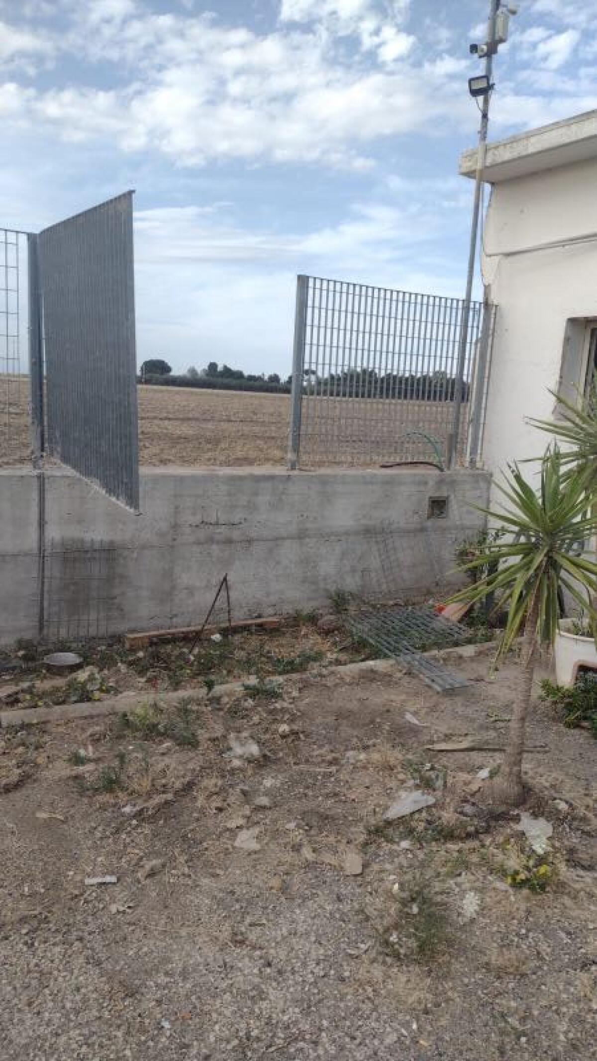 Foggia, furto al canile Enpa: rubati croccantini e scatolette destinati ai cani - 