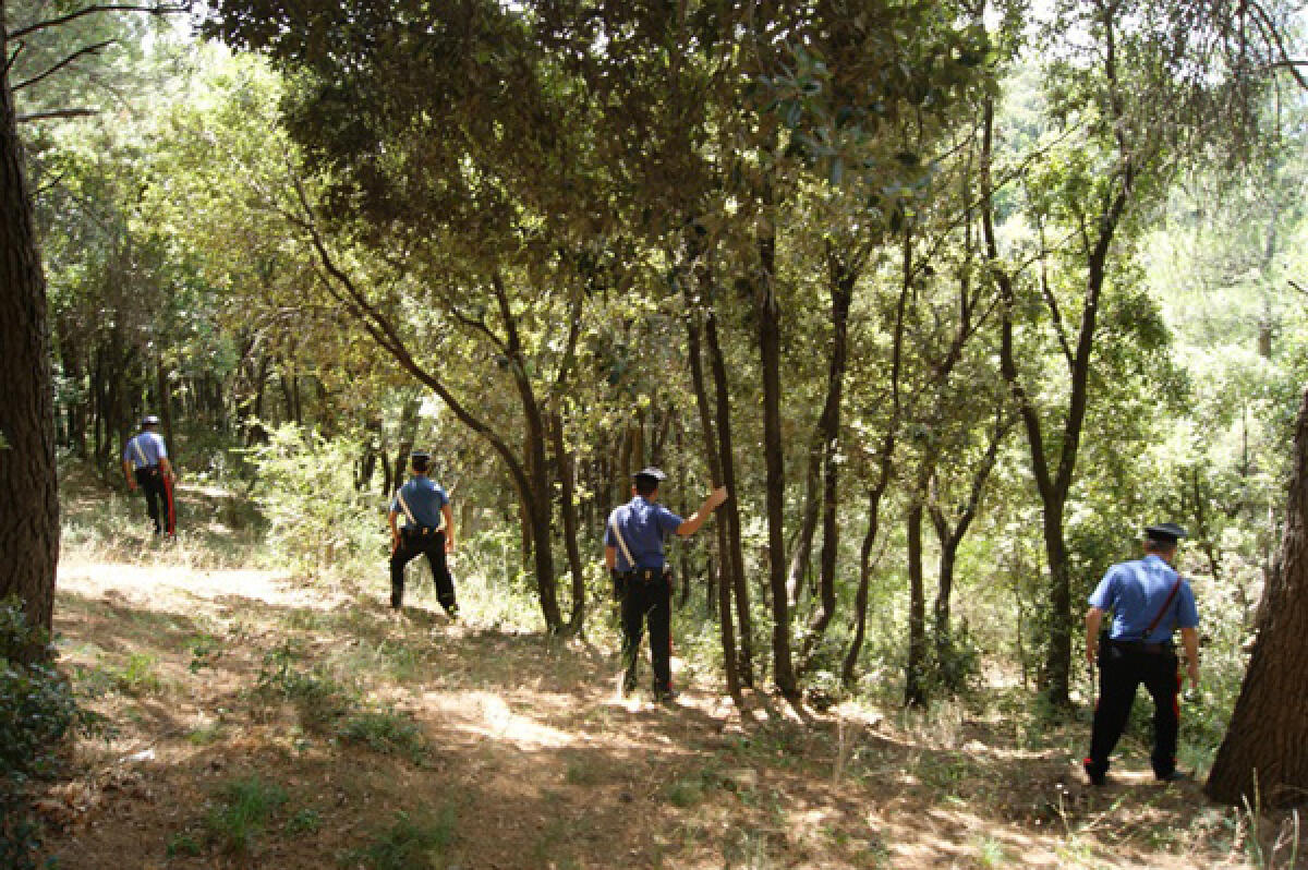 Carpino, ansia per la scomparsa di un anziano - 