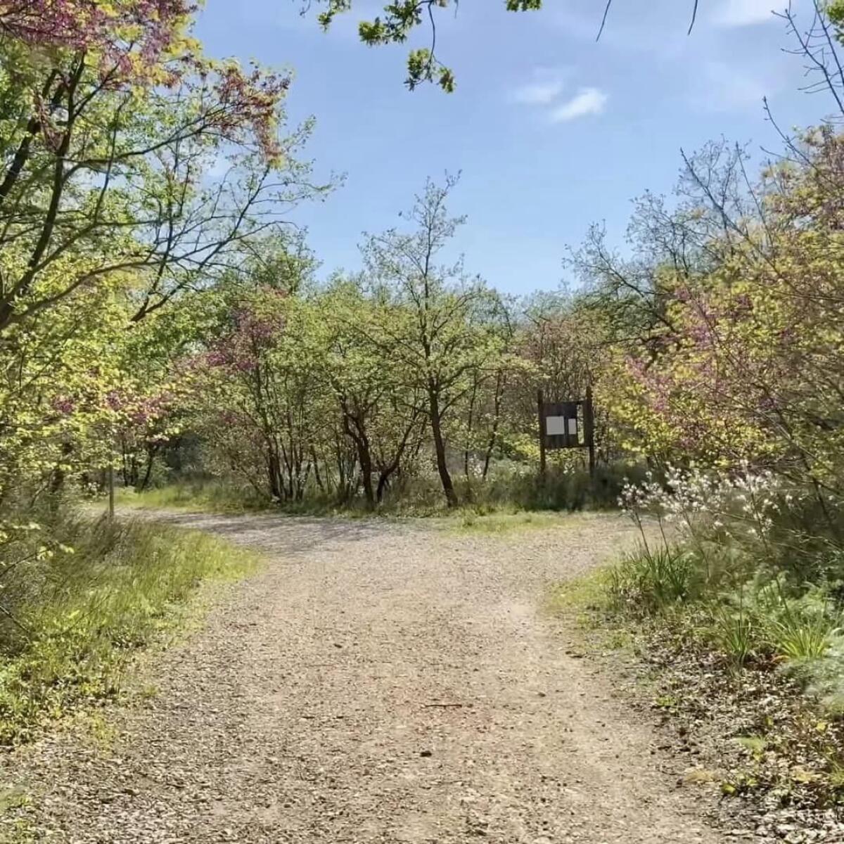 Foggia, ottenuto un finanziamento per il Parco dell'Incoronata - 