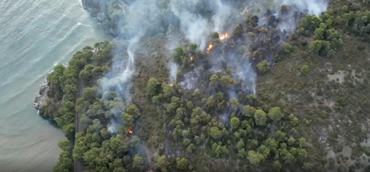 Vieste, incendio a Baia San Felice. Arriva il canadair - 