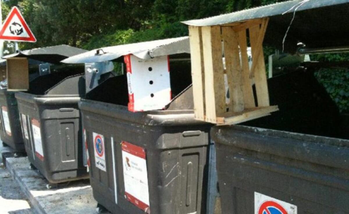 Foggia, aumenta la tassa sui rifiuti - 